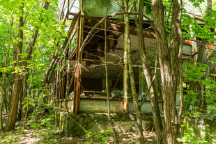 丛林中的废弃建筑遗迹