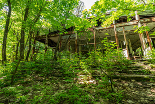 森林中的废弃木屋