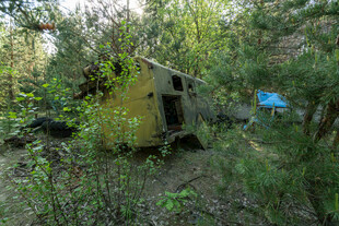 废弃车辆藏身茂密树林中