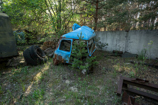 废弃蓝色滑梯藏身树林间