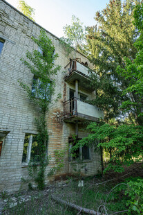 废弃楼房被绿植环绕