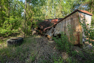 废弃小屋隐于林间