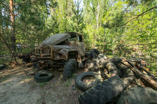 森林中废弃的破旧车辆