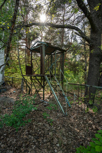 林间复古秋千架