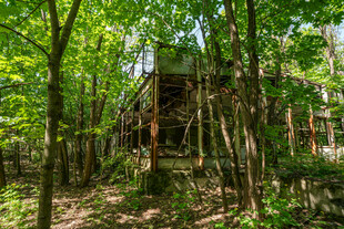 森林中的废弃木屋