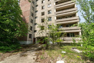 废弃高层住宅楼杂草丛生