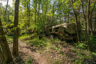 林间隐蔽的军用车辆