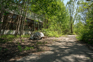 林间废弃小屋与蜿蜒小路
