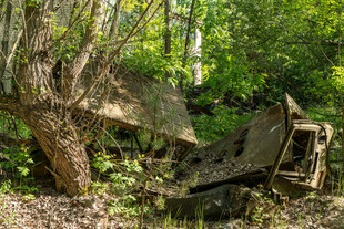 森林中废弃的老旧机械残骸