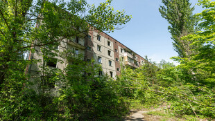 废弃楼房被绿植环绕