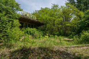 林间废弃建筑隐于葱郁草木