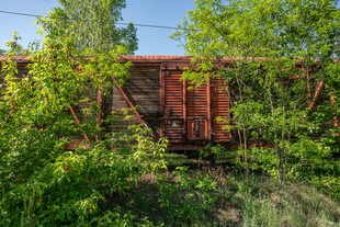 绿植环绕的红色木质围栏