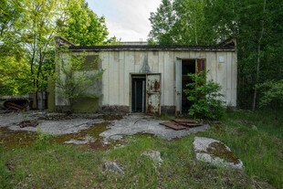 废弃老屋隐于林间荒野