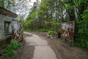 废弃小屋旁的林间小径