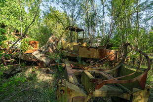 废弃游乐设施隐于绿意中