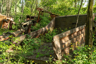 废弃建筑被绿植覆盖