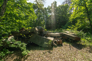 丛林中的废弃坦克