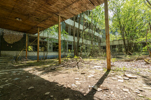 荒废的户外木质秋千场景