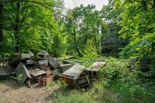 林间废弃蜂箱堆