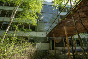废弃建筑旁的绿植景观