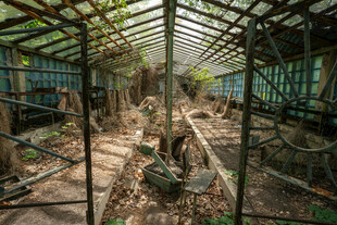 温室中的植物与设施景观