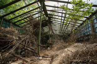 废弃温室内部景象