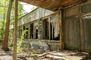 废弃林间木屋尽显沧桑