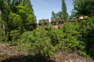 林中废弃游乐设施