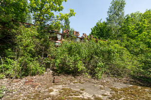 河岸旁繁茂绿意的自然景致