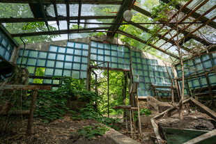 绿意盎然的玻璃温室空间