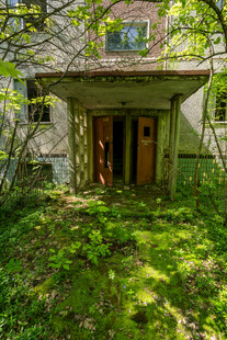 被绿植环绕的林间老旧房屋