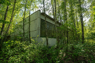 森林中的废弃建筑