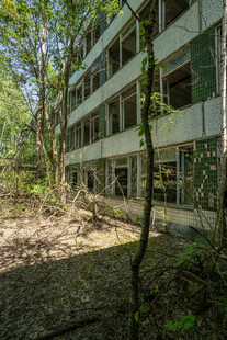 废弃建筑隐于茂密树林中