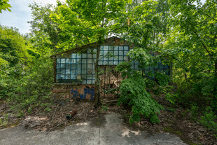 废弃玻璃房被绿植环绕