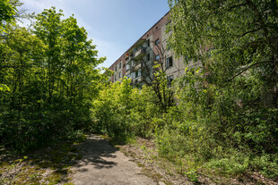 废弃建筑旁的绿意小道