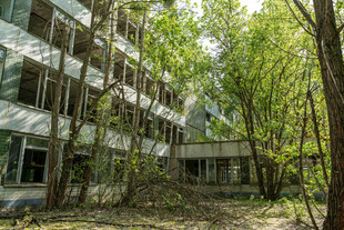 废弃建筑被绿植环绕