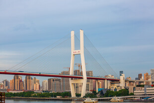 上海南浦大桥日出风光