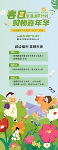 春日购物嘉年华主视觉易拉宝