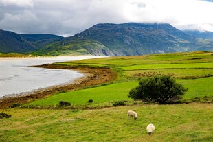 草原湖畔美景