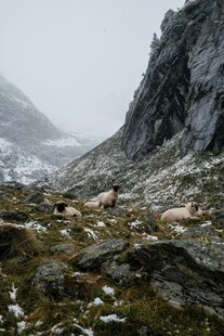山间雾霭中的嶙峋岩石