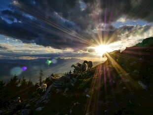 日出时分的山间壮丽景色
