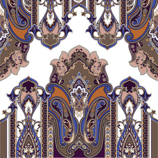 精美佩斯利花纹图案设计