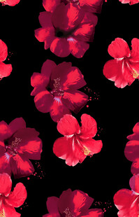 深红花朵图案背景