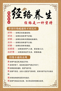 经络养生海报