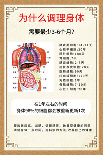 为什么调理身体海报