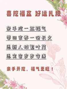 订婚结婚活动水牌