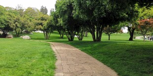 公园中的蜿蜒小径