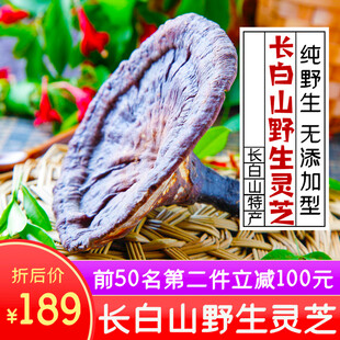 长白山野生灵芝促销特惠