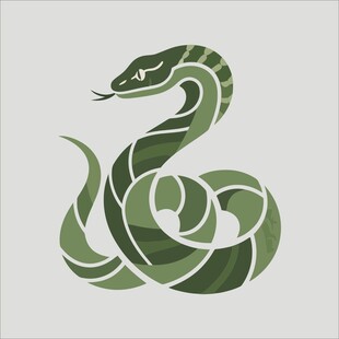 绿色几何风格盘绕蛇图案