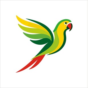 飞翔的多彩鹦鹉